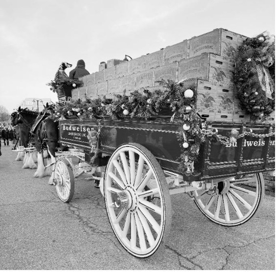 Photos courtesy Bob Hall Beverage Company Decked out for the holidays, the Budweiser Clydesdales hitch featured 10 horses, the iconic red, white and gold beer wagon, professional drivers and the ever-present Dalmatian mascot, bringing joy to the Southern Maryland communities served by Bob Hall Beverage Company.